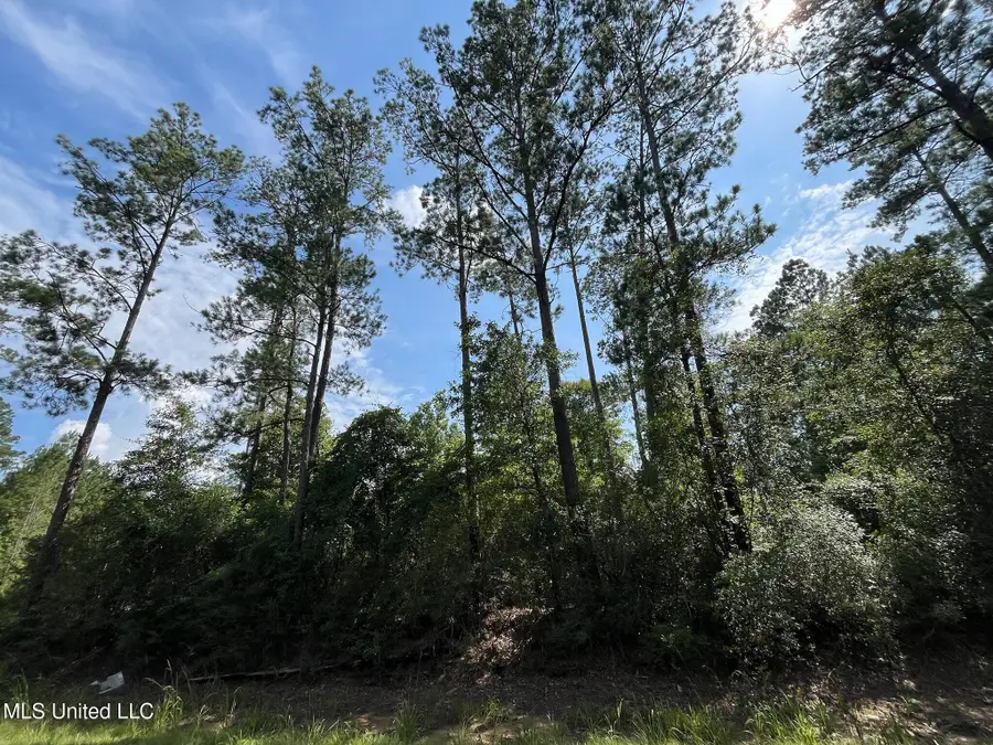 N Hwy 63, Leakesville, MS 39451 - Image #2