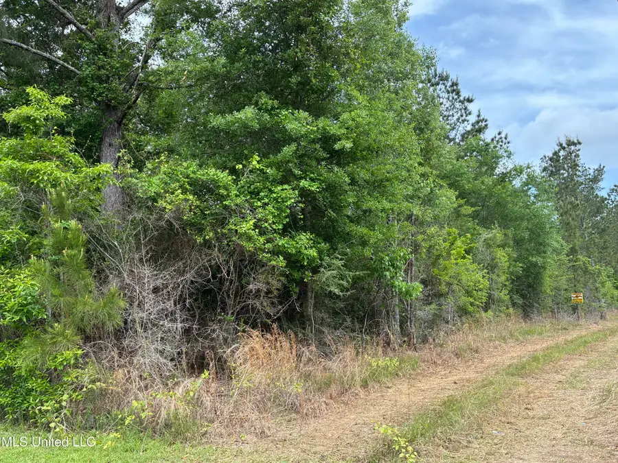 Lot 4 W Wortham Road, Saucier, MS 39574 - Image #3
