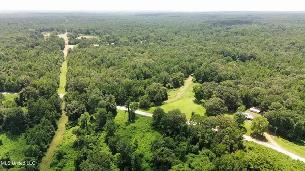 Scallions Road, Cascilla, MS 38920