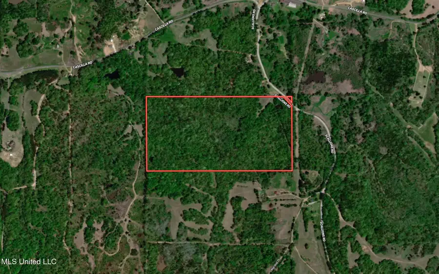 Scallions Road, Cascilla, MS 38920 - Image #2
