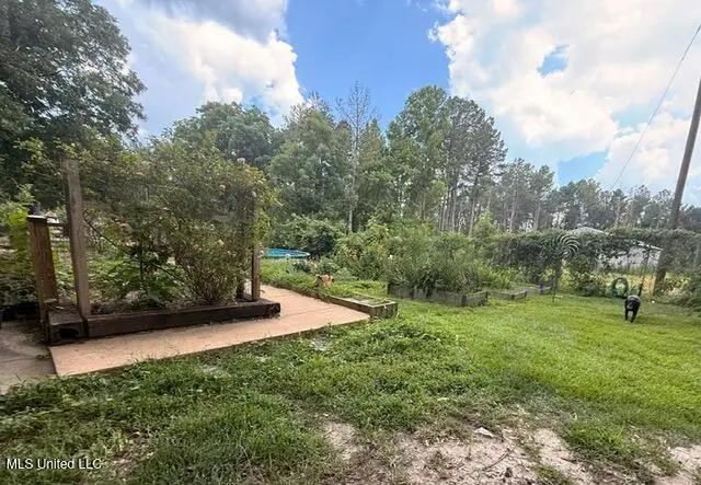 3833 Cooperville Road, Pelahatchie, MS 39145 - Image #3