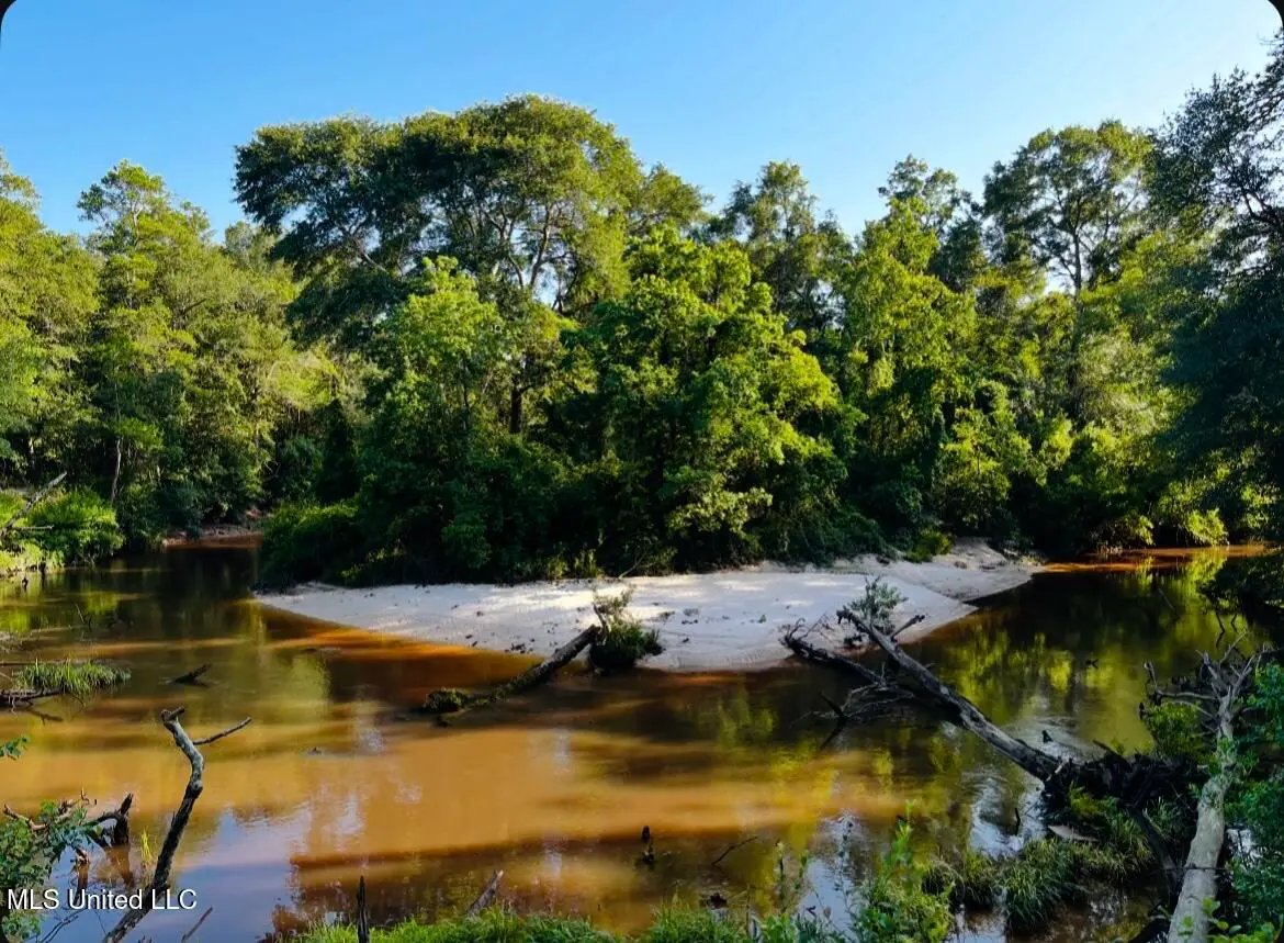 W Union Road, Carriere, MS 39426 - Image #1