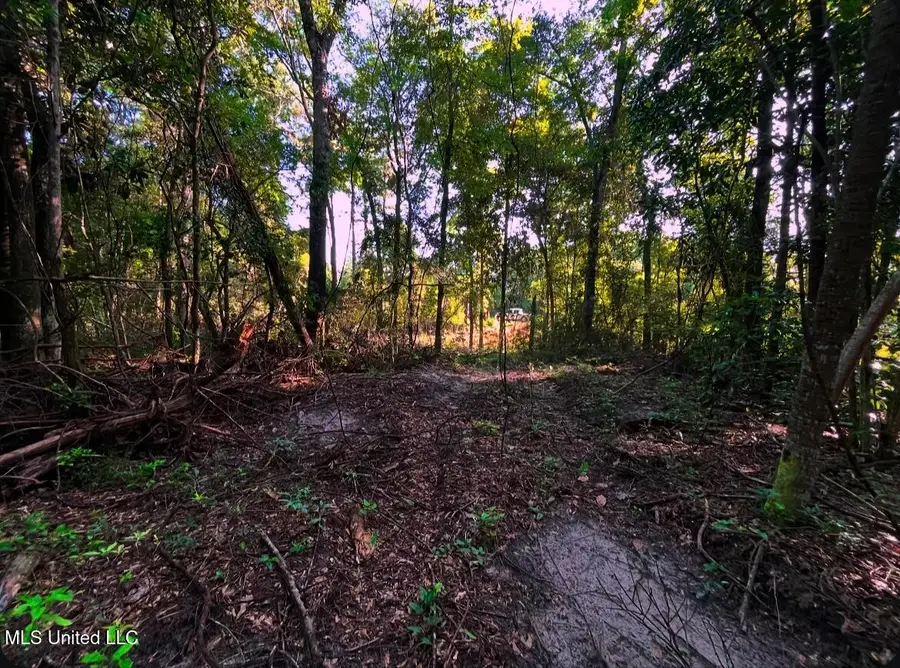 W Union Road, Carriere, MS 39426 - Image #2