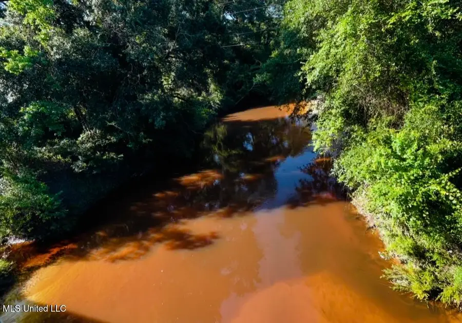 W Union Road, Carriere, MS 39426 - Image #3