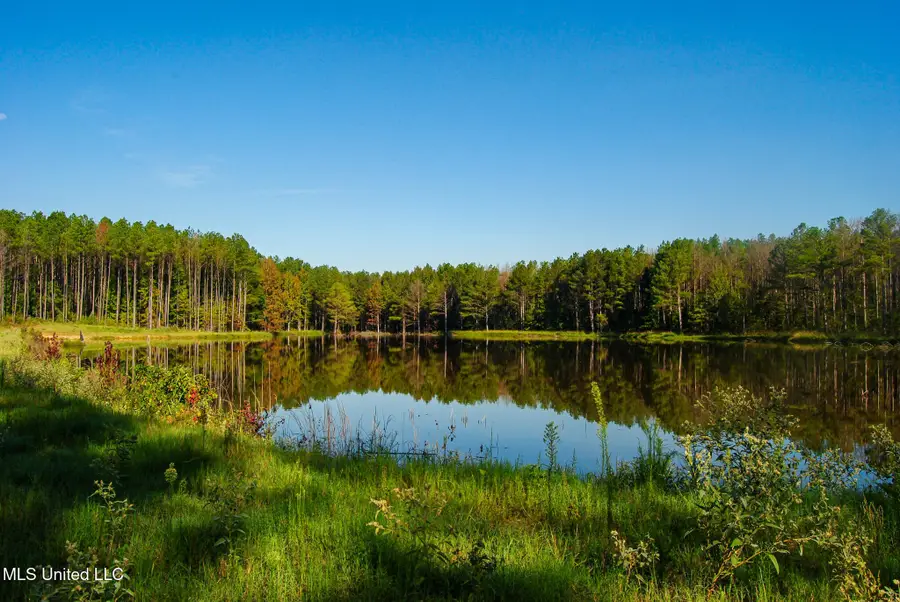 Ms-17, Pickens, MS 39146 - Image #2