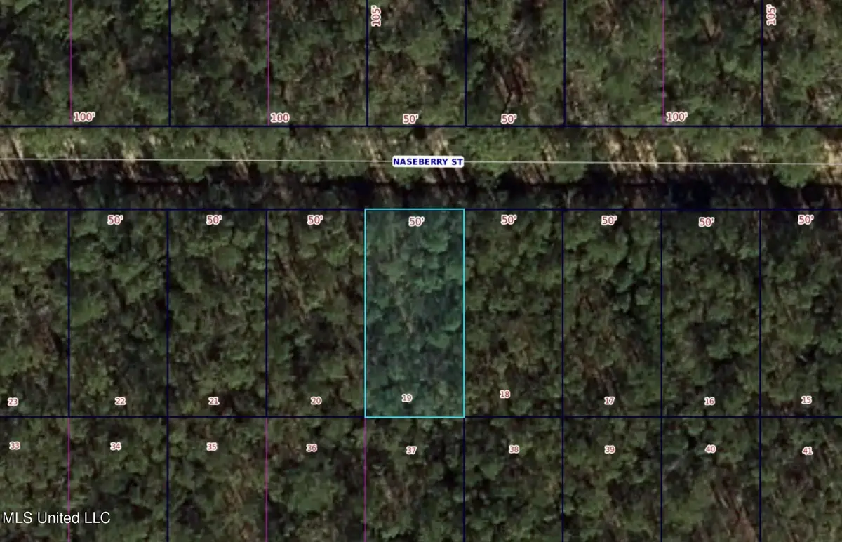 0 Naseberry Street, Bay Saint Louis, MS 39520 - #1