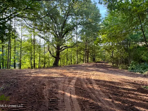 000 Hwy 395, Noxapater, MS 39346