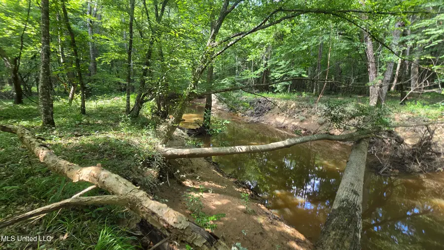 No Ms-407, Kilmichael, MS 39747 - Image #2