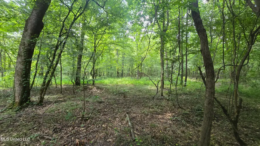 No Ms-407, Kilmichael, MS 39747 - Image #3