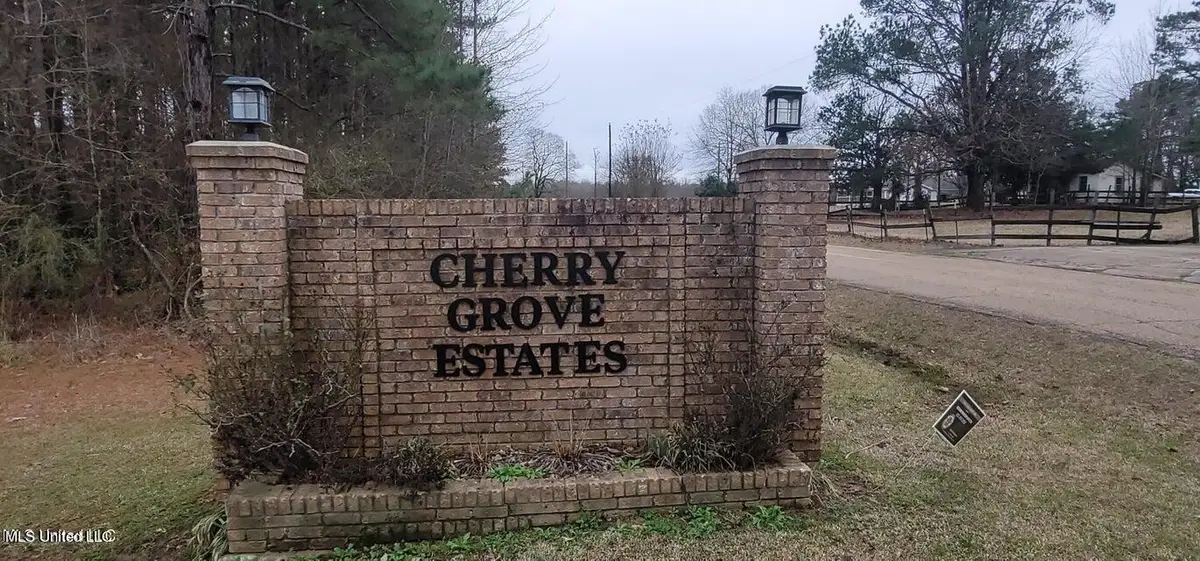 0 Edward Owens Drive, Terry, MS 39170 - Image #1