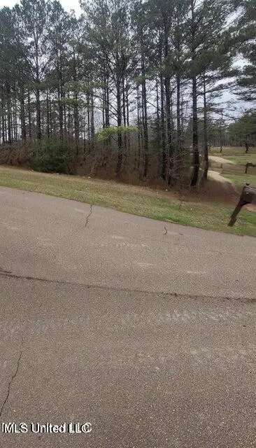 0 Edward Owens Drive, Terry, MS 39170 - Image #2