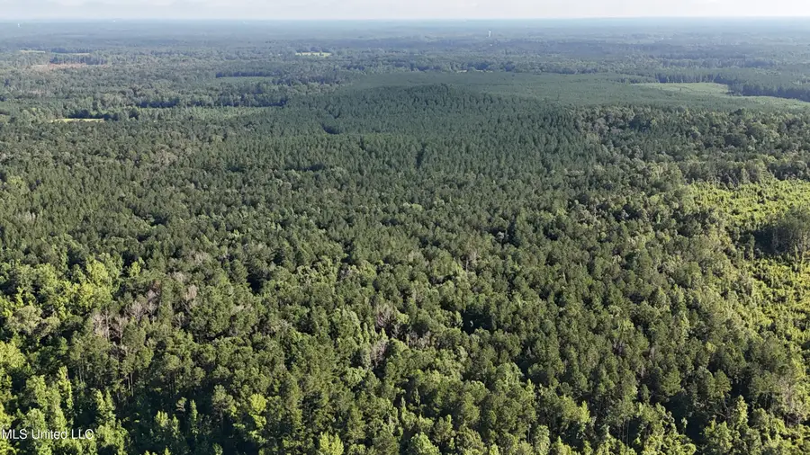Levi Cooper Road, Florence, MS 39073 - Image #2