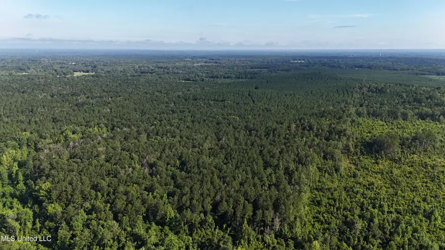 Levi Cooper Road, Florence, MS 39073 - Image #3
