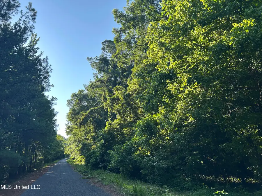 Avant Road, Crenshaw, MS 38621 - Image #2