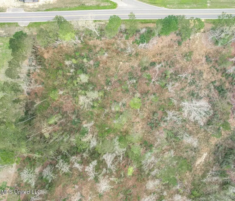 Lot 1 Bridgewater Subdivision, Sumrall, MS 39482 - Image #3