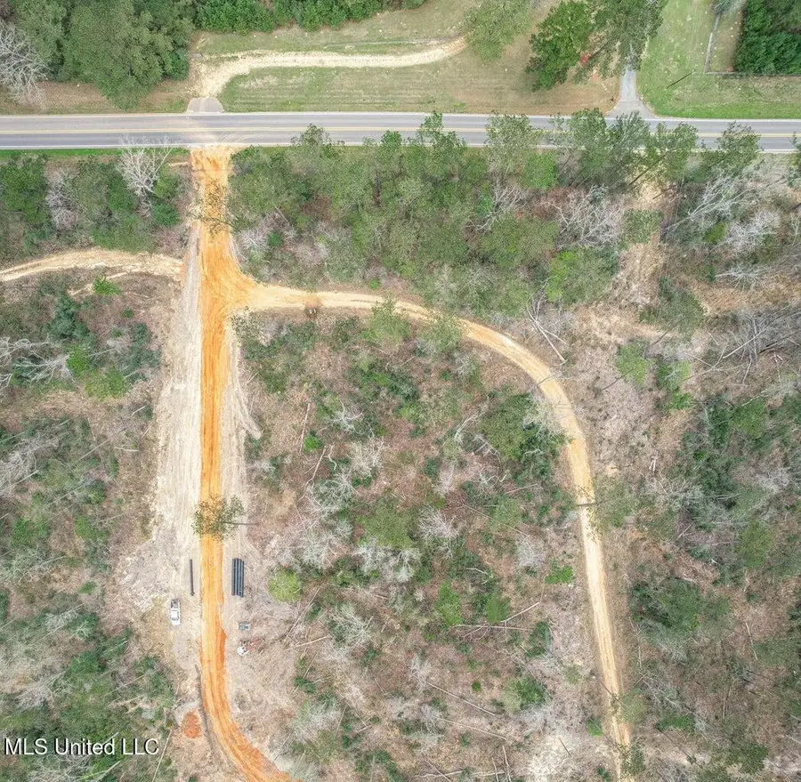 Lot 9 Bridgewater Subdivision, Sumrall, MS 39482 - Image #2
