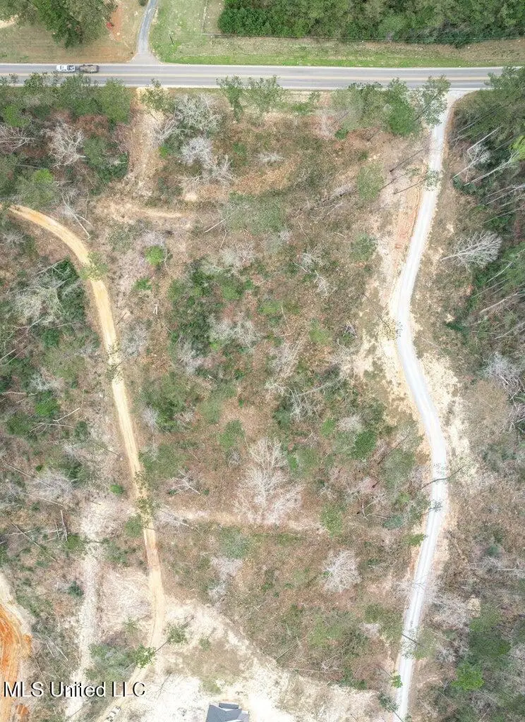 Lot 10 Bridgewater Subdivision, Sumrall, MS 39482 - Image #3