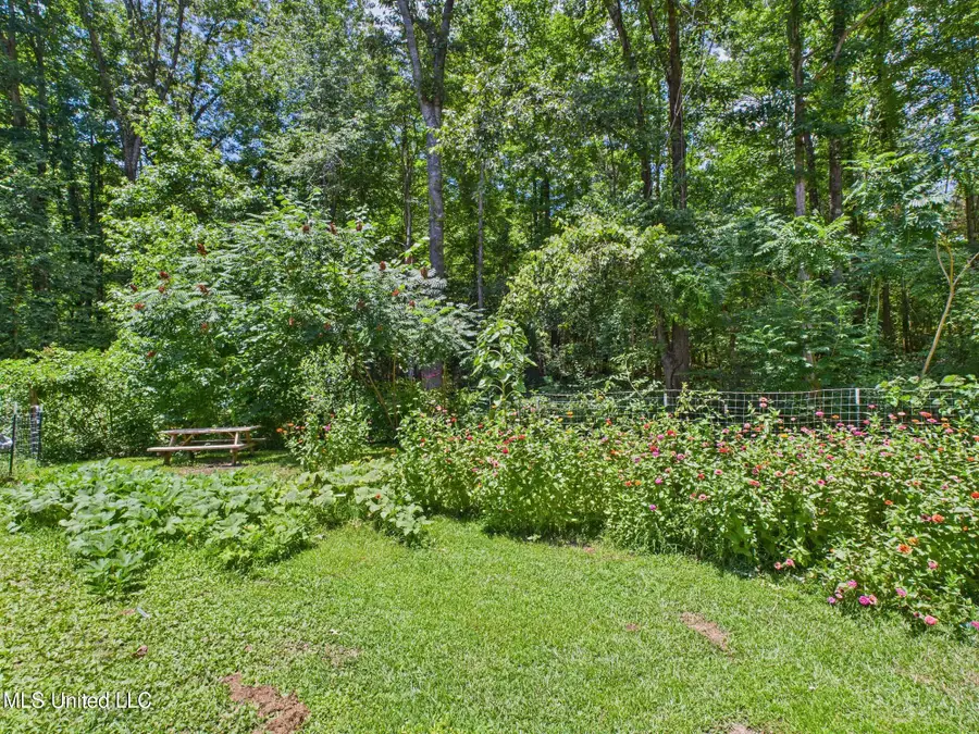 200 S Mullins Road, Holly Springs, MS 38635 - Image #3