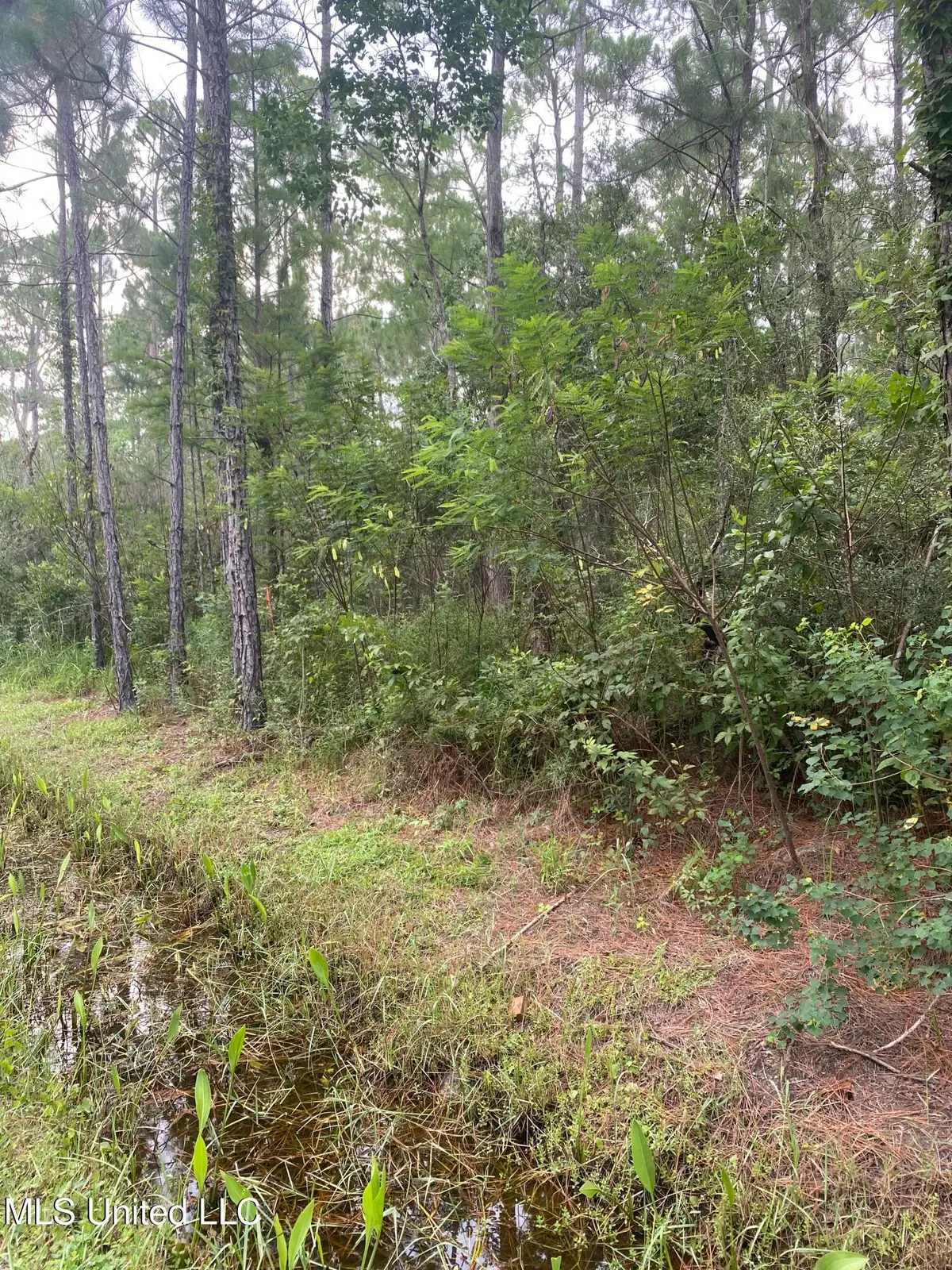 Fig Drive, Waveland, MS 39576 - #1