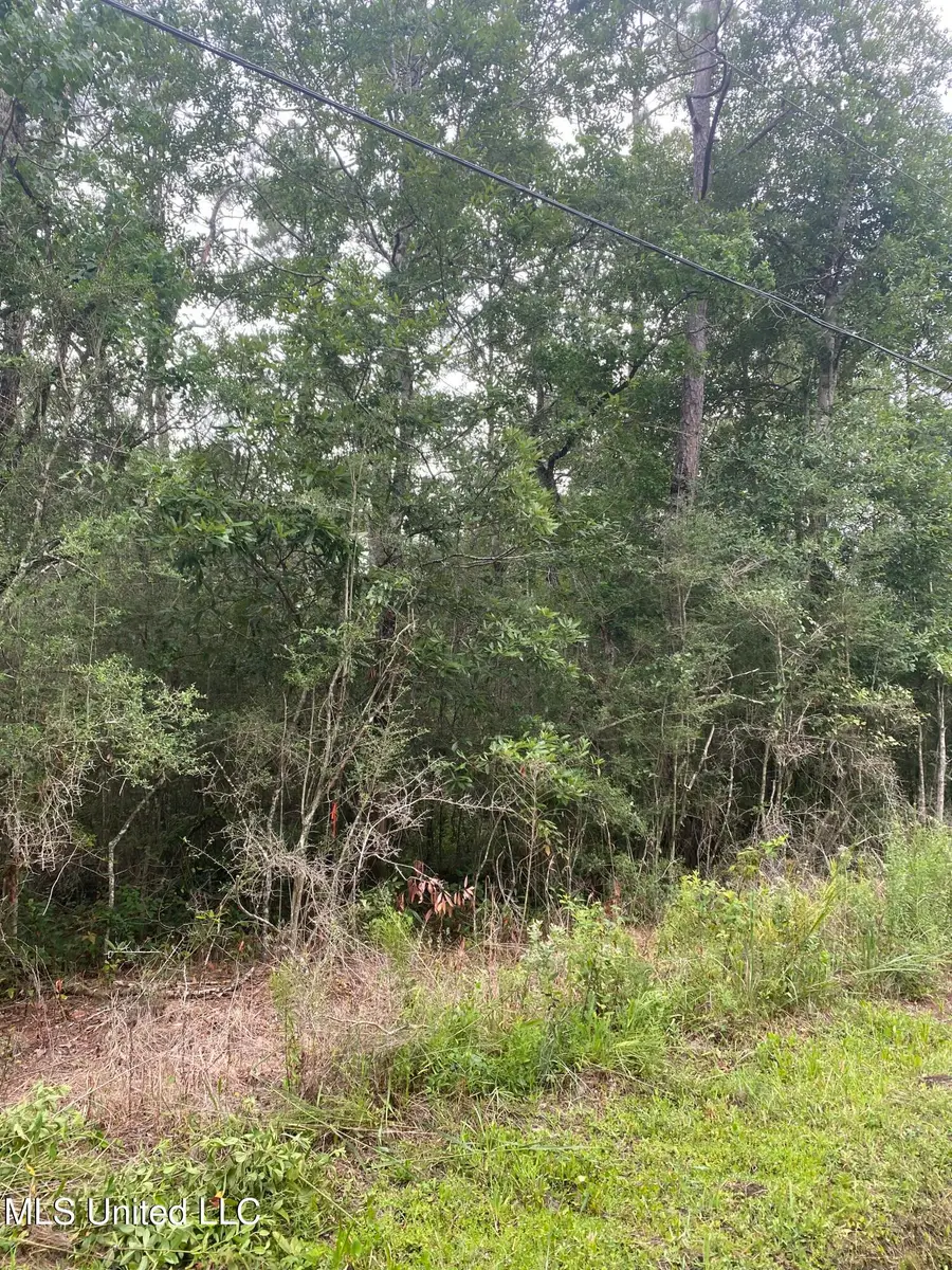 Fig Drive, Waveland, MS 39576 - #2