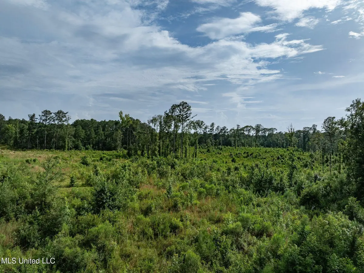 22 Acres Mol Todd Road, Sumrall, MS 39482 - Image #1