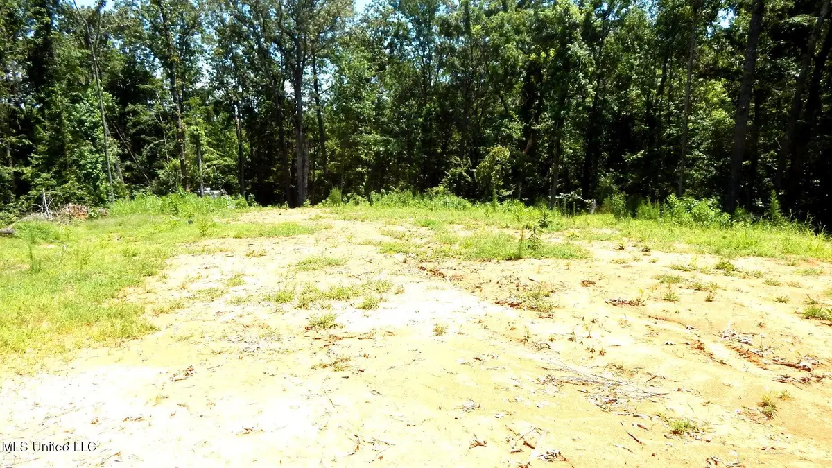 240 Kimes Cove, Sardis, MS 38666 - Image #1