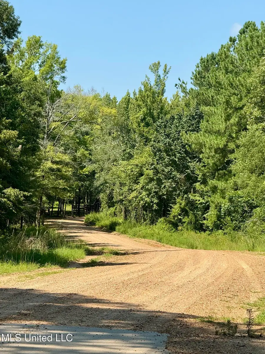 0 Broome Road, Wesson, MS 39191 - Image #3