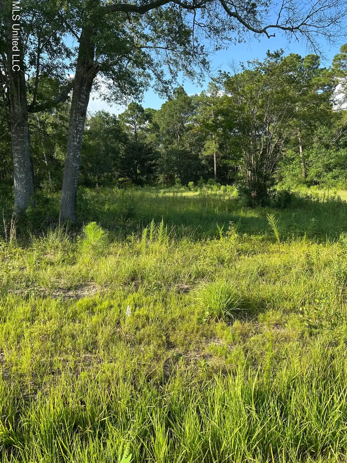 0 Woolmarket Road, Biloxi, MS 39532 - #1