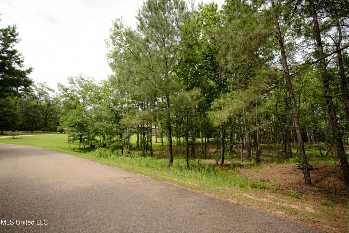 Danielle Cove, Brandon, MS 39042 - Image #1