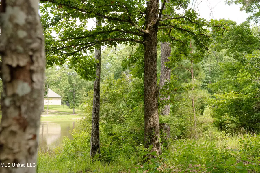 Danielle Cove, Brandon, MS 39042 - Image #2