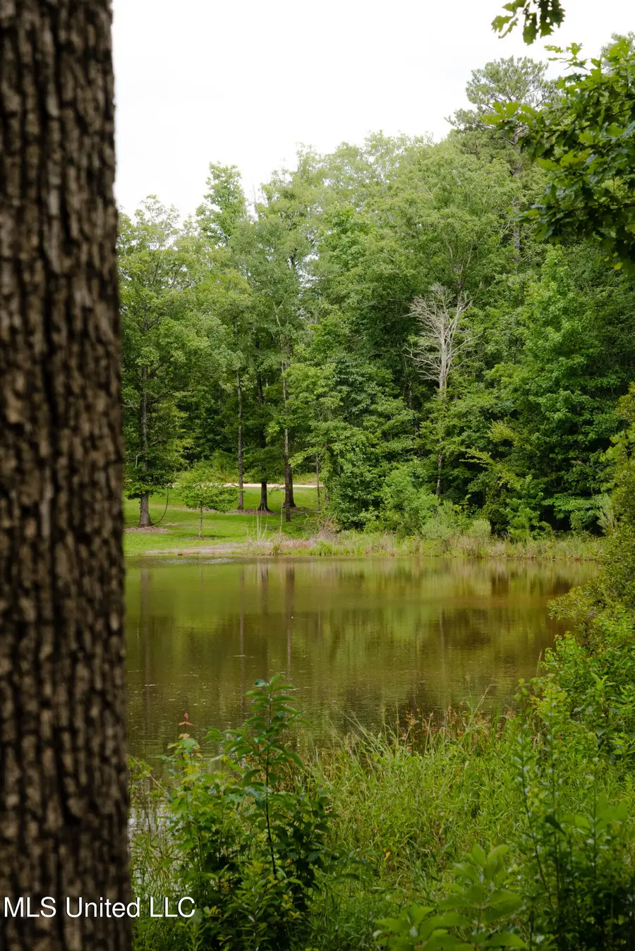 Danielle Cove, Brandon, MS 39042 - Image #3