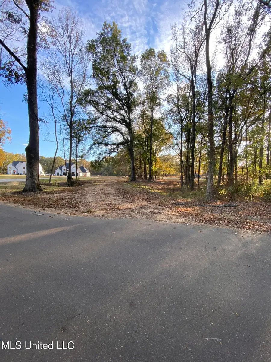 0 Bright Road, Hernando, MS 38632 - Image #3