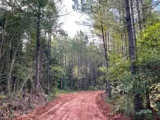 0 Road 270, Union, MS 39365 - Image #2