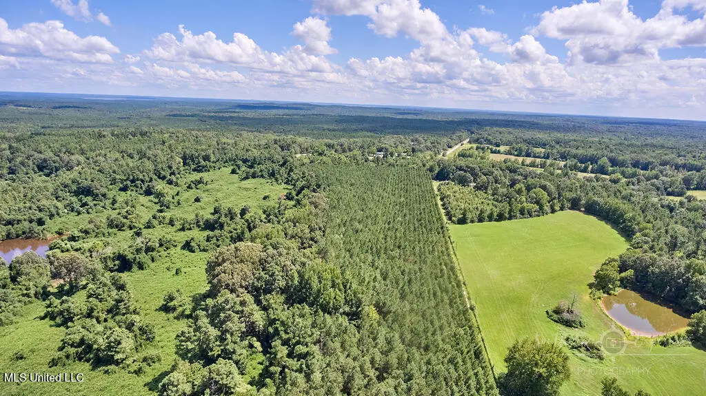 00 Graves Road, Holly Springs, MS 38635 - Image #1