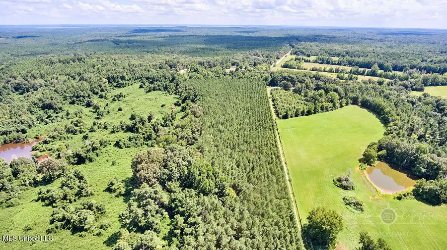 00 Graves Road, Holly Springs, MS 38635 - Image #2