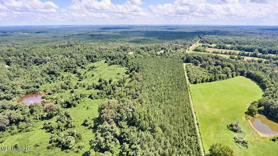 00 Graves Road, Holly Springs, MS 38635 - Image #3