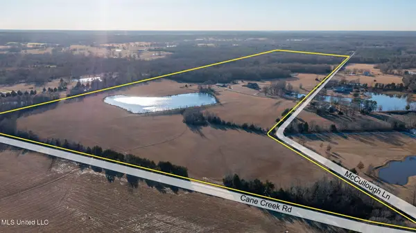 0 Mccullough Lane, Flora, MS 39071