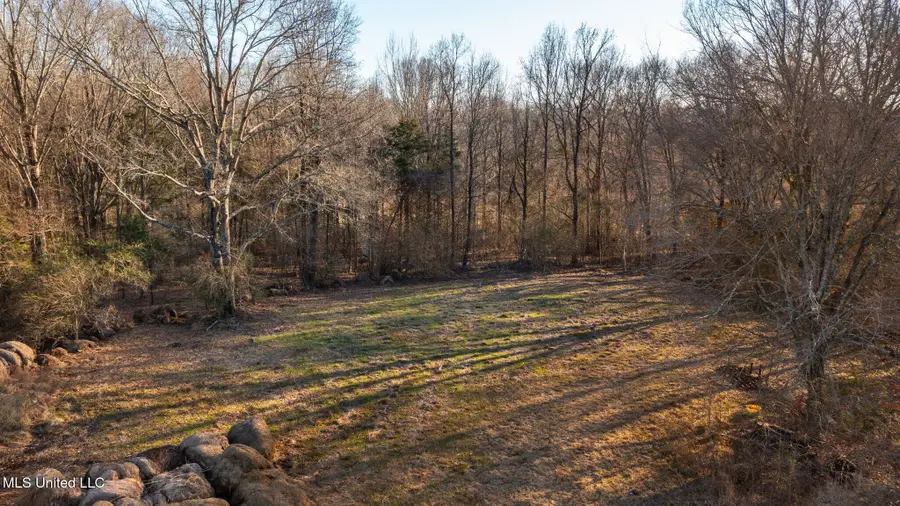 0 Mccullough Lane, Flora, MS 39071 - #3