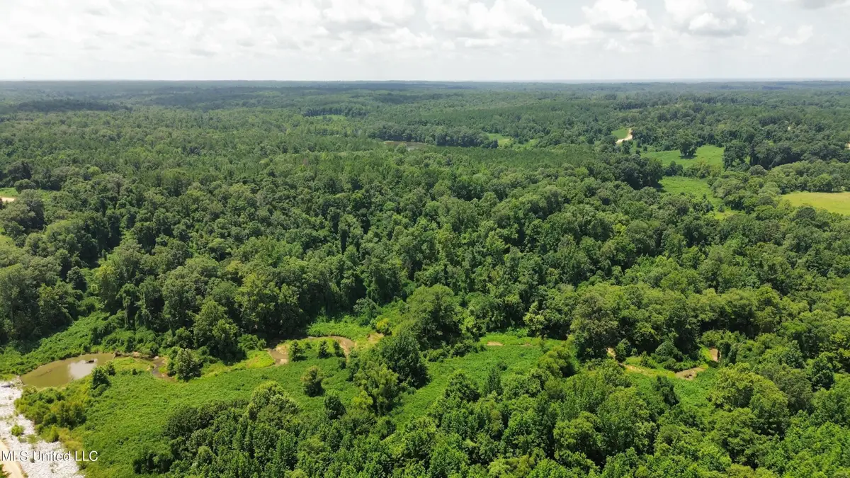 Ascalmore Creek Road Road, Cascilla, MS 38920 - Image #1