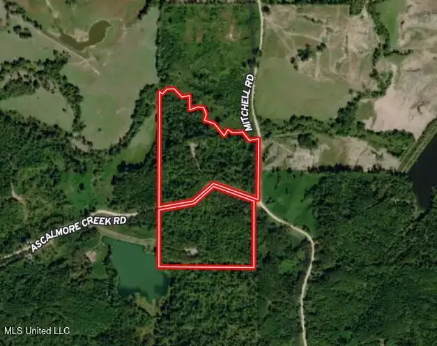 Ascalmore Creek Road Road, Cascilla, MS 38920 - Image #2