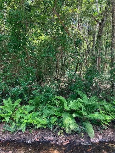 No Cullens Street, Biloxi, MS 39532 - Image #1