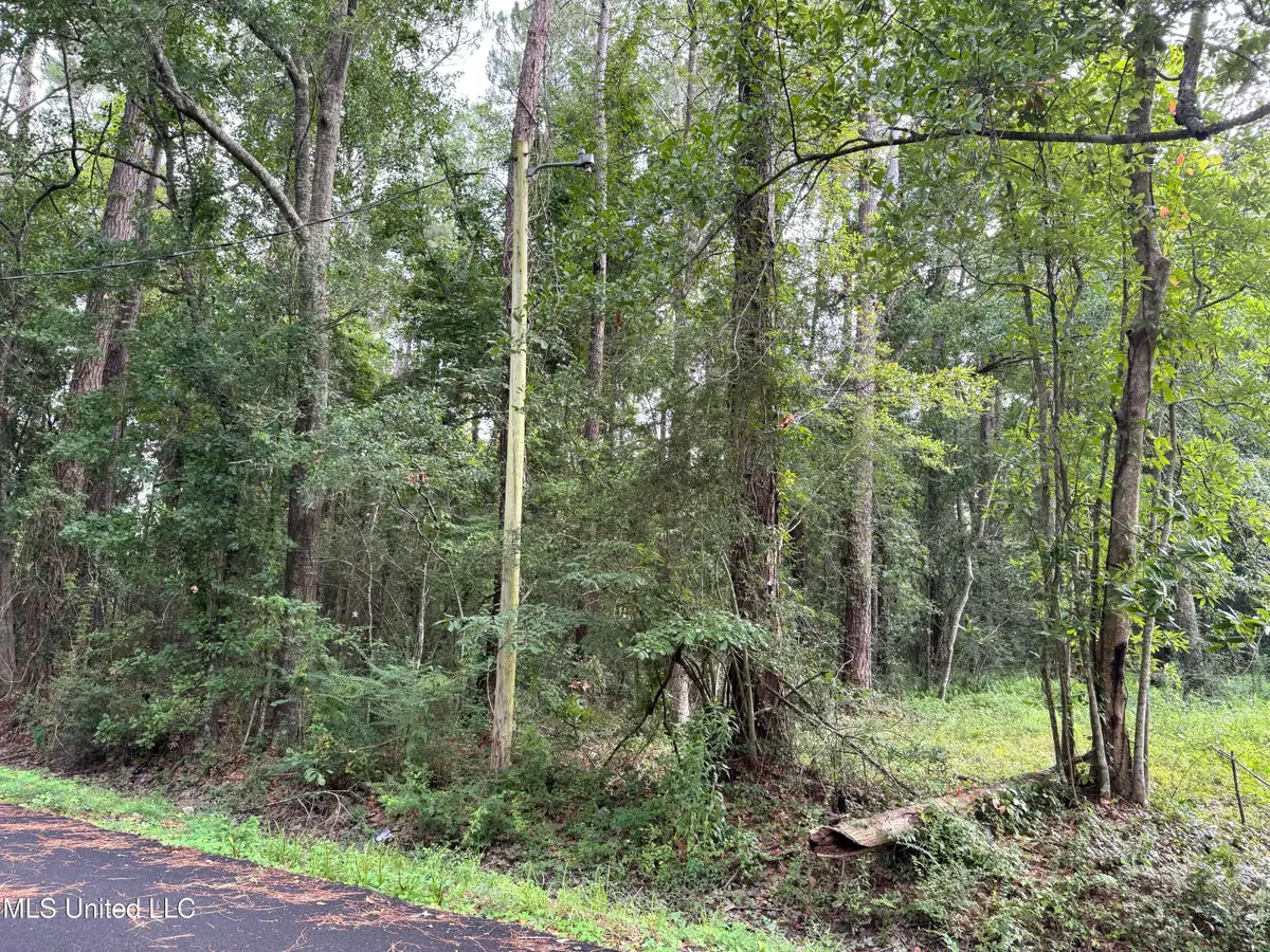 - River Music Drive, Ephraim, MS 39553 - #1