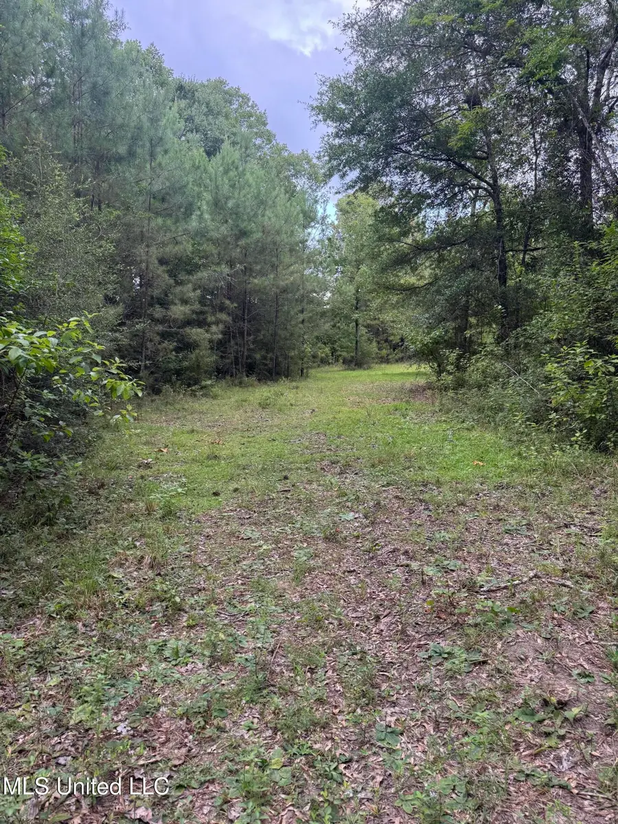 134a Harry Sones Rd, Carriere, MS 39426 - Image #2