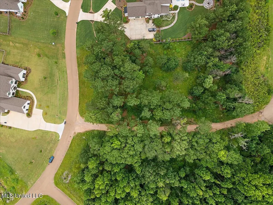 112 Hidden Glades, Ridgeland, MS 39157 - Image #3