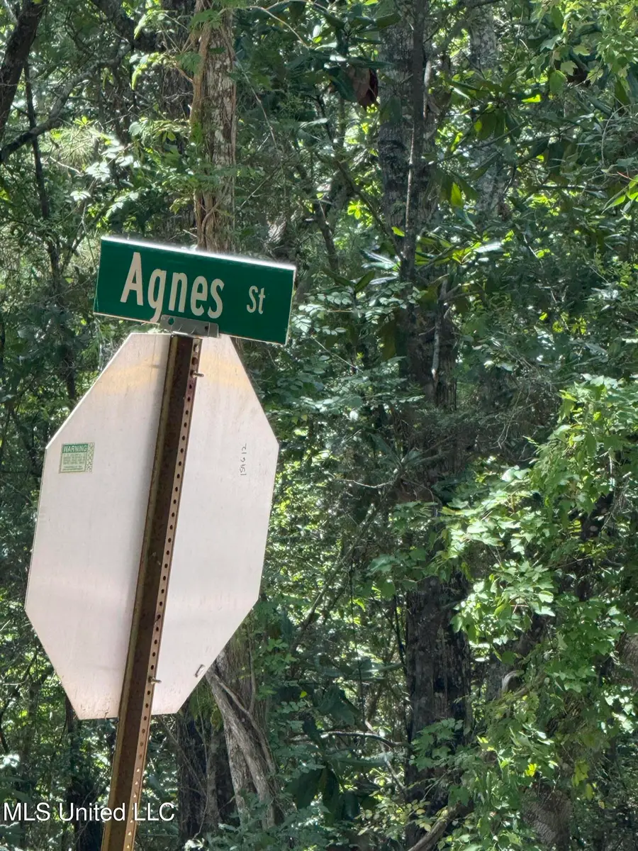 Nhn North St Lot 8, Ocean Springs, MS 39564 - Image #3