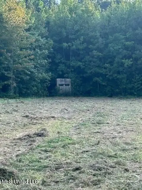 000 Ms-16, Yazoo City, MS 39194