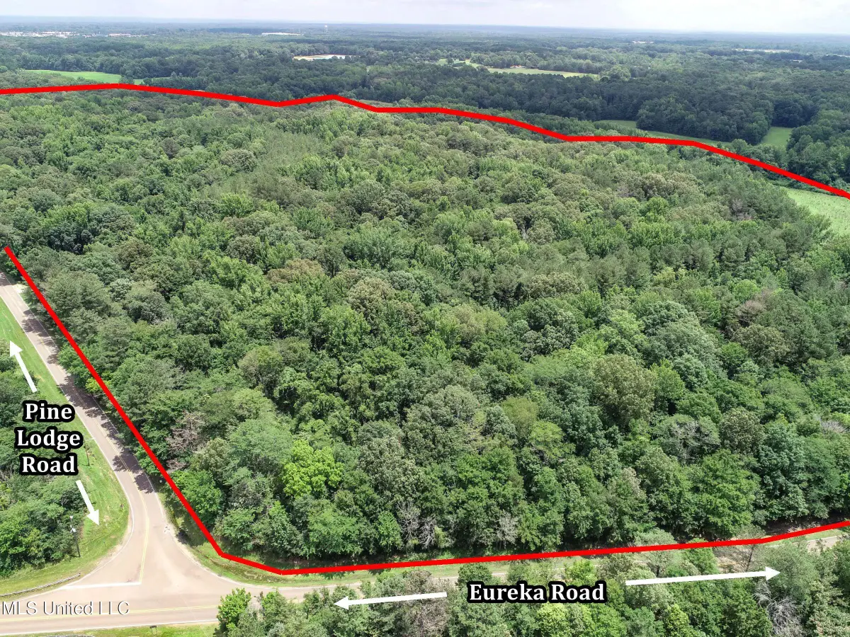 Pine Lodge Road Road, Batesville, MS 38606 - Image #1