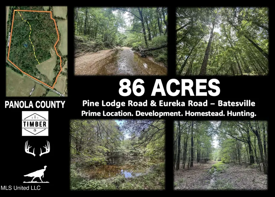 Pine Lodge Road Road, Batesville, MS 38606 - Image #2