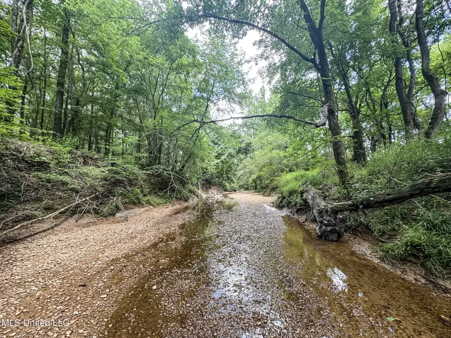 Pine Lodge Road Road, Batesville, MS 38606 - Image #3