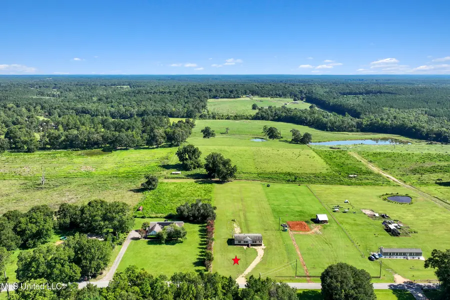 95 Pump Branch Road, Wiggins, MS 39577 - Image #2